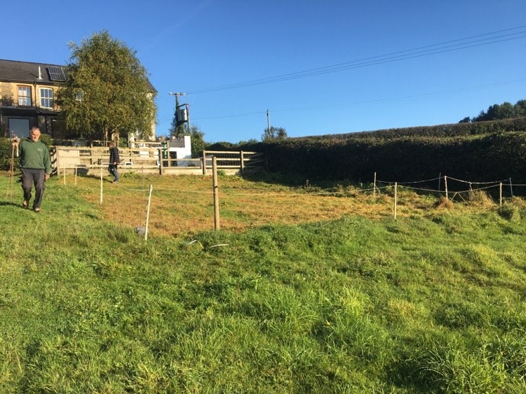 Before: empty sloping field corner in Rudry